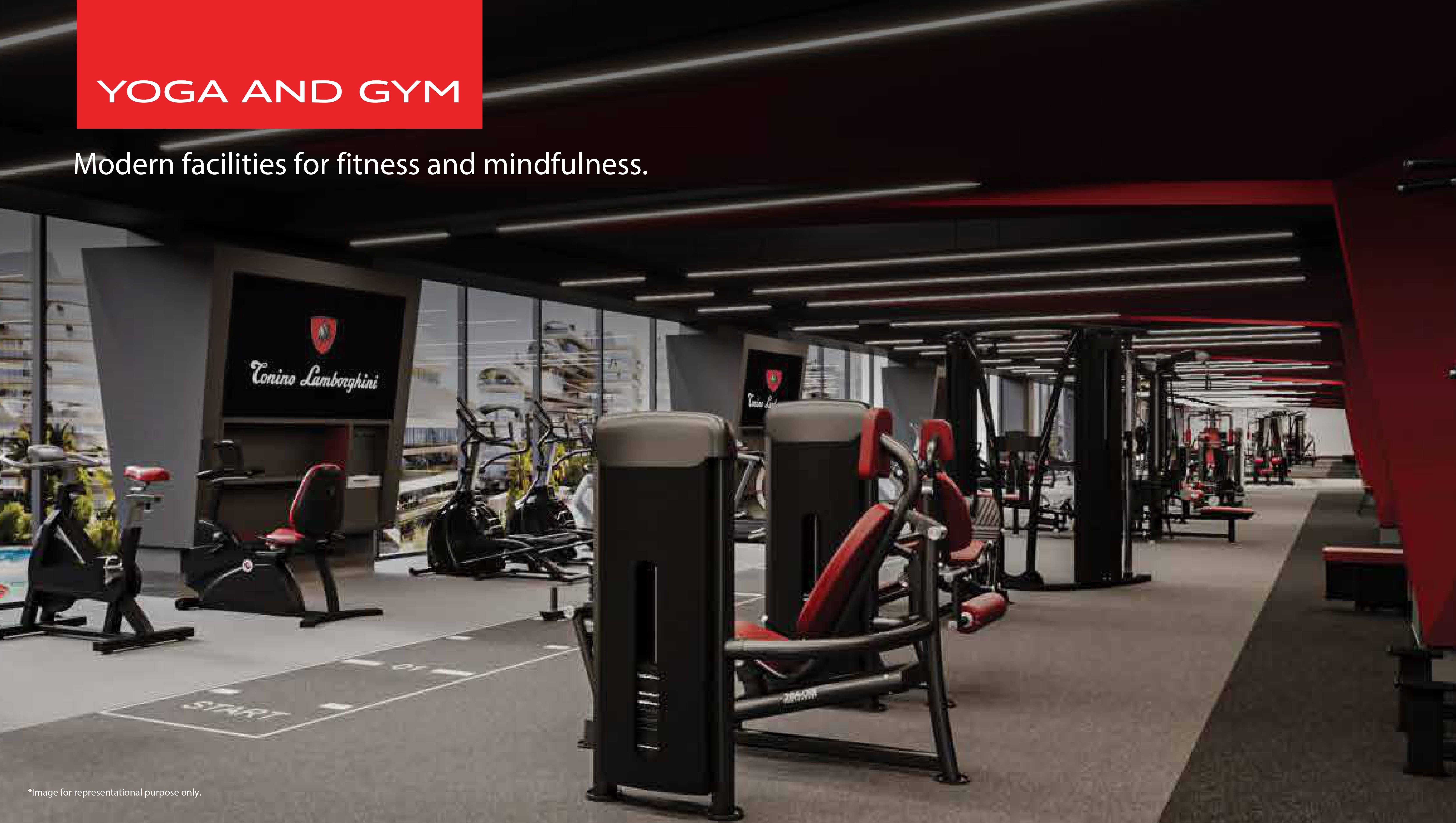 Yoga & Gym